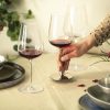 Tasting Set ESSENCA SENSISPLUS Weingläsern · Kristallglas