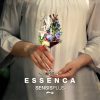 Tasting Set ESSENCA SENSISPLUS Weingläsern · Kristallglas